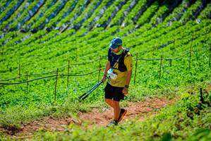 BIB: 
                            <button type="button" onclick="openModal(19163465)" class="btn btn-primary btn-sm float-right btn-popup" data-toggle="modal" data-target=".modal-high-quality">
                        <i class="fas fa-shopping-cart"></i> Add to Cart
                    </button>
                                            <button type="button" onclick="isThisMe(19163465, true)" class="btn btn-success btn-sm float-right btn-popup btn-isme hidden" data-toggle="tooltip" data-placement="bottom" title="นี่คือรูปของคุณใช่ไหม คลิกที่นี่เพื่อเอาเข้าอัลบั้ม">
                        <i class="fas fa-plus"></i> Add to album
                    </button>
                    <button type="button" onclick="isThisMe(19163465, false)" class="btn btn-warning btn-sm float-right btn-popup btn-isnotme hidden">
                        <i class="fas fa-ban"></i> Remove from album
                    </button>